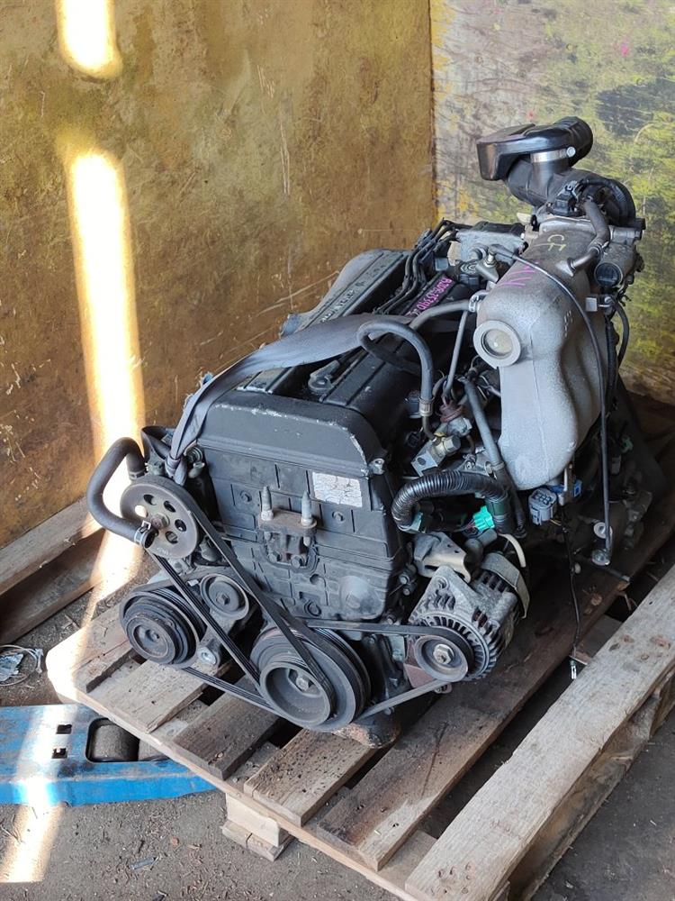 Двигатель Хонда Степвагон в Чайковском 731412